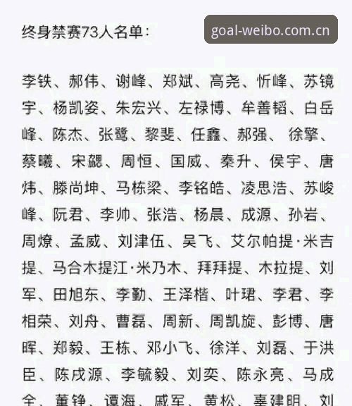 足球反腐风暴vs行业净化：从足协禁足名单看中国足球生态重塑